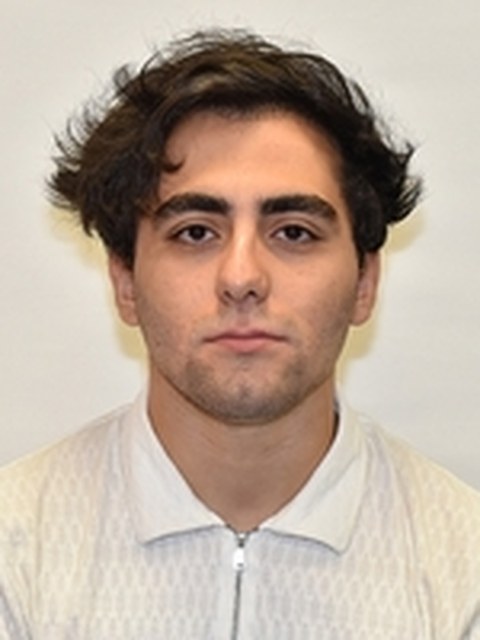 Portrait of Mohammad Sarhangzadeh